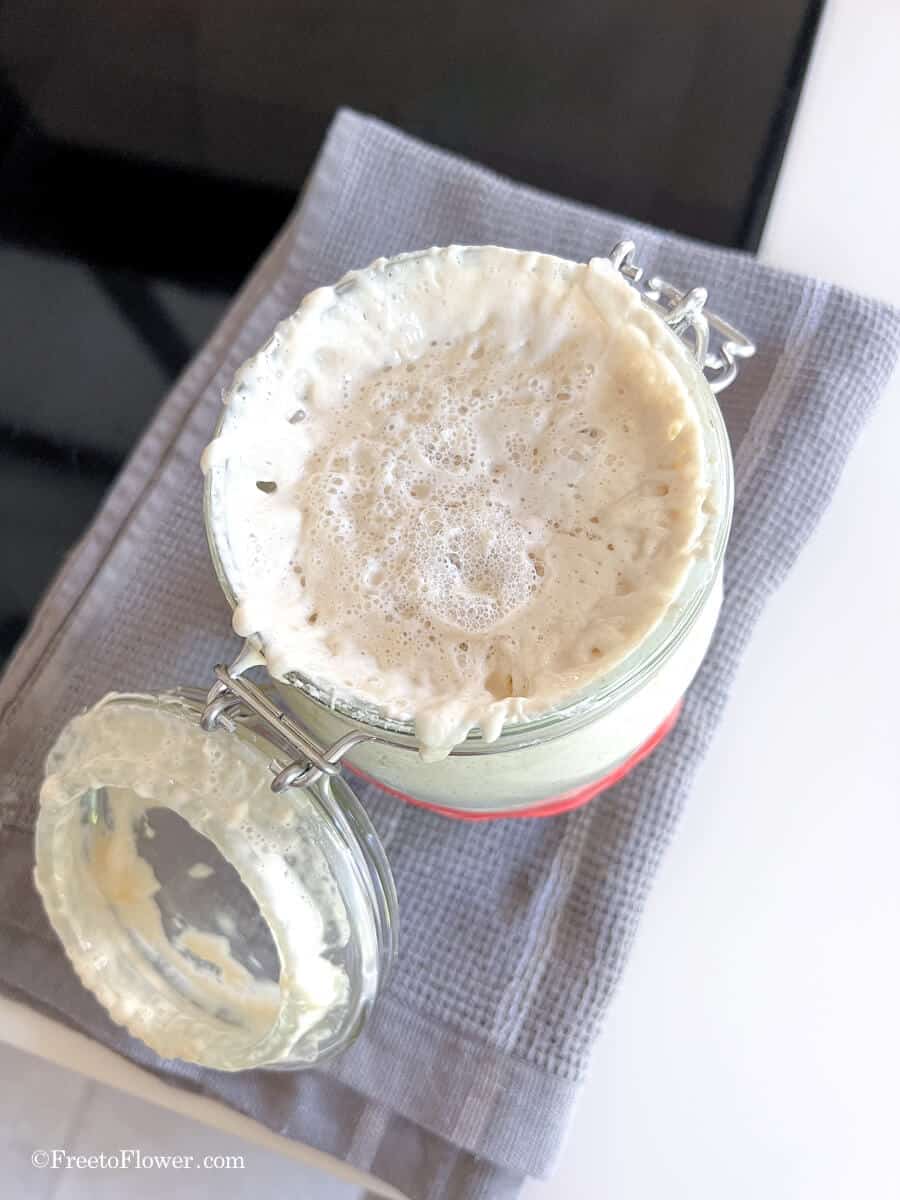 jar full of sourdough starter
