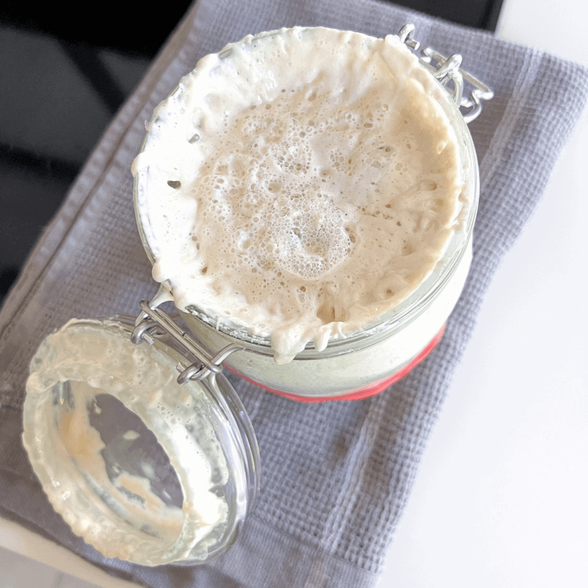 Sourdough Starter Jar Which Should You Choose Free To Flower sourdough-starter-jar-which-should-you-choose-free-to-flower