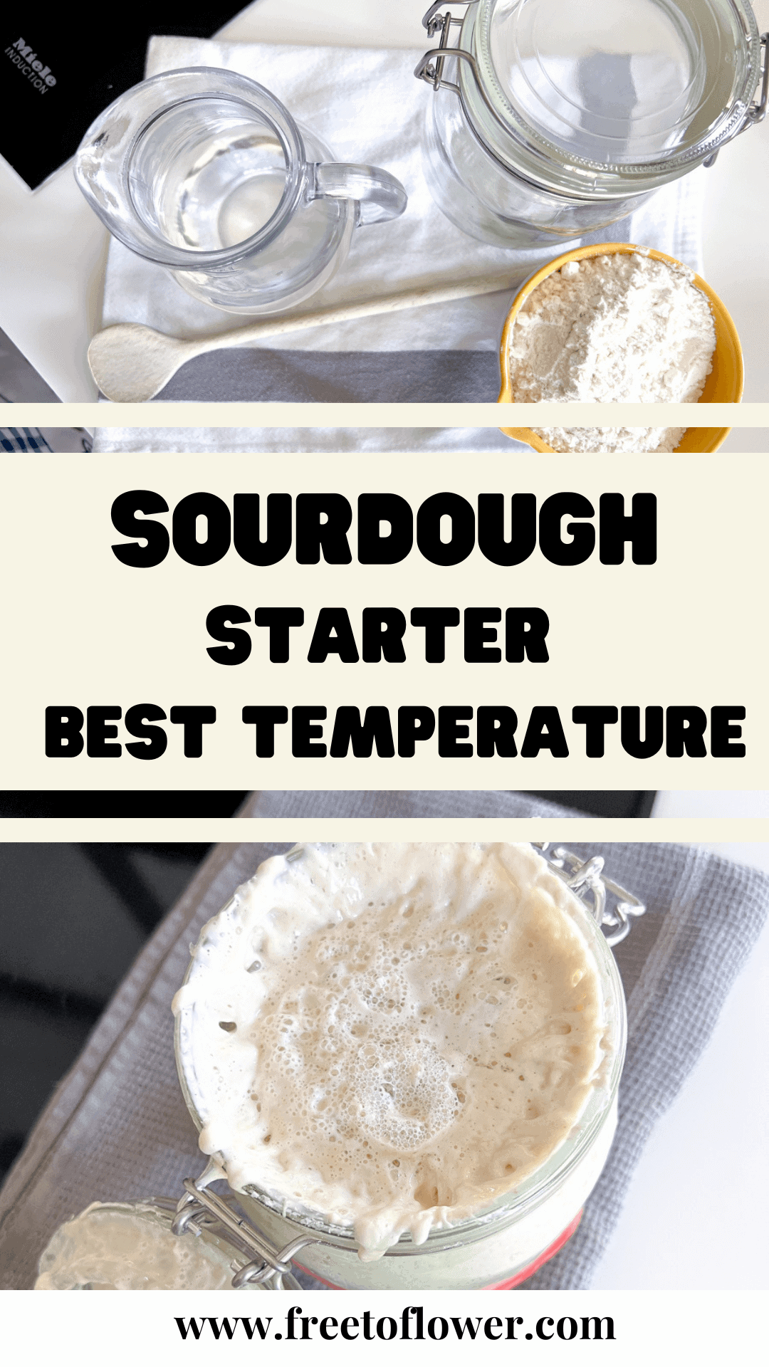 Best Temperature for Sourdough Starter