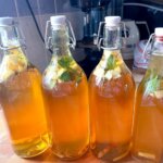 bottles full of mint kombucha