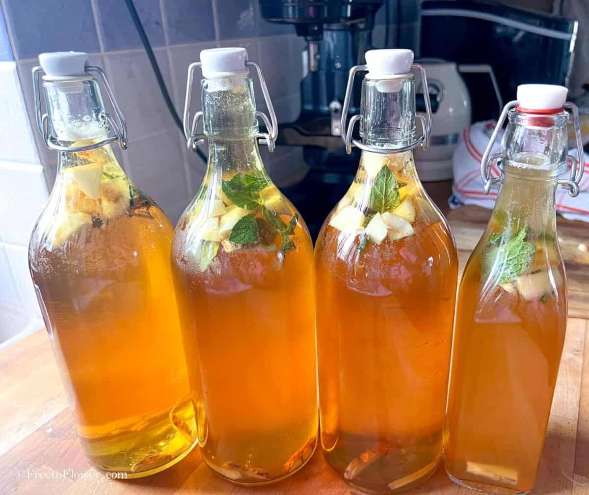 bottles full of mint kombucha
