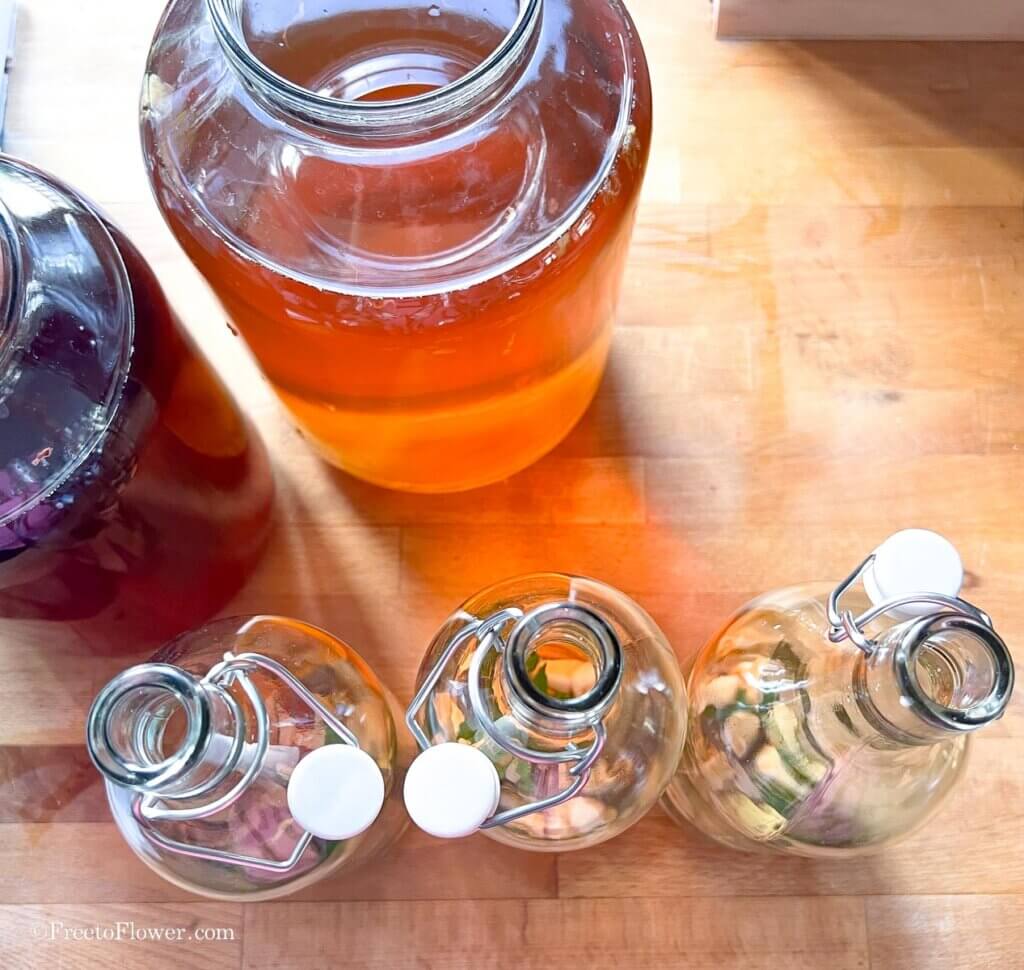 two big jars of first fermentation kombucha and bottles for secondary fermentation ready to be filled