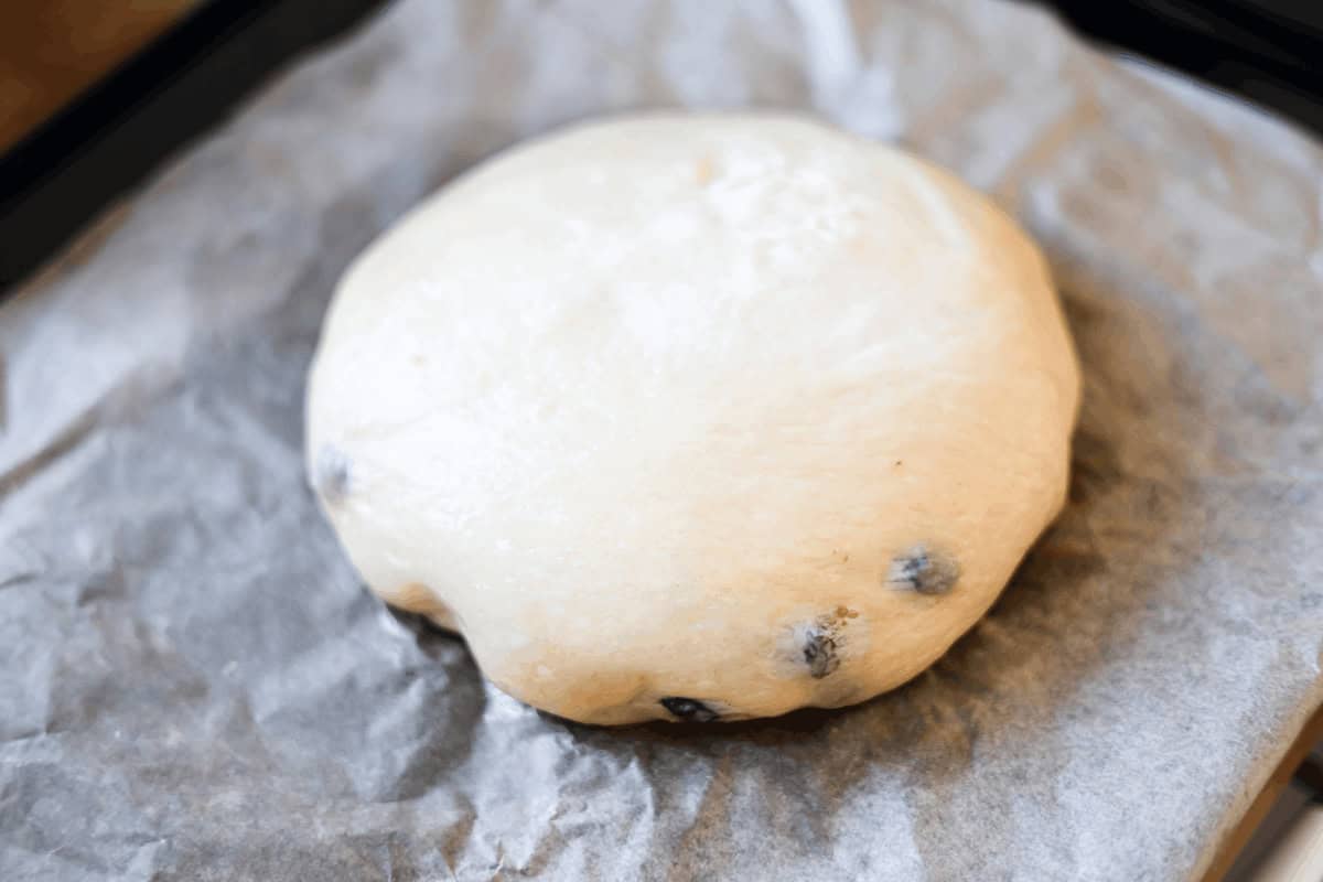 shaped dough with raisins