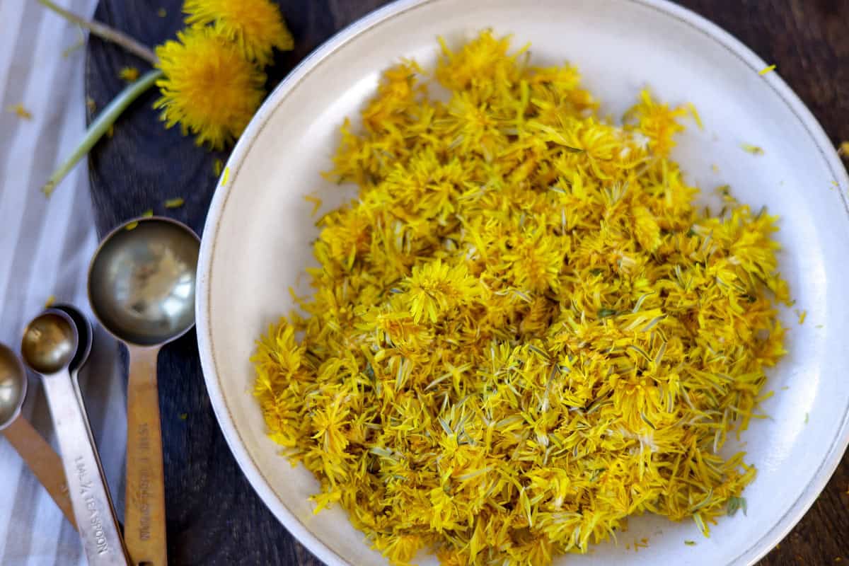 foraged dandelion flowers