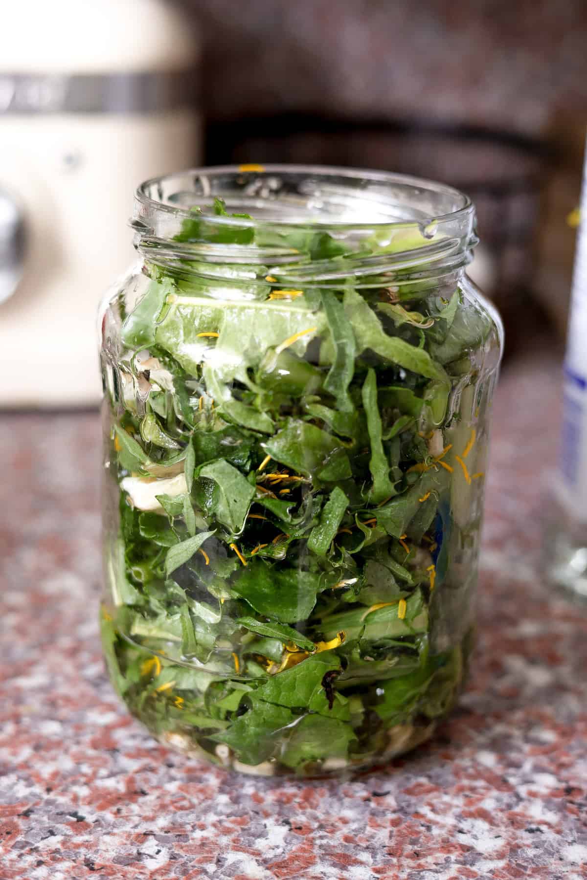 Quart mason jar loosely packed with chopped dandelion flowers, leaves, and root pieces