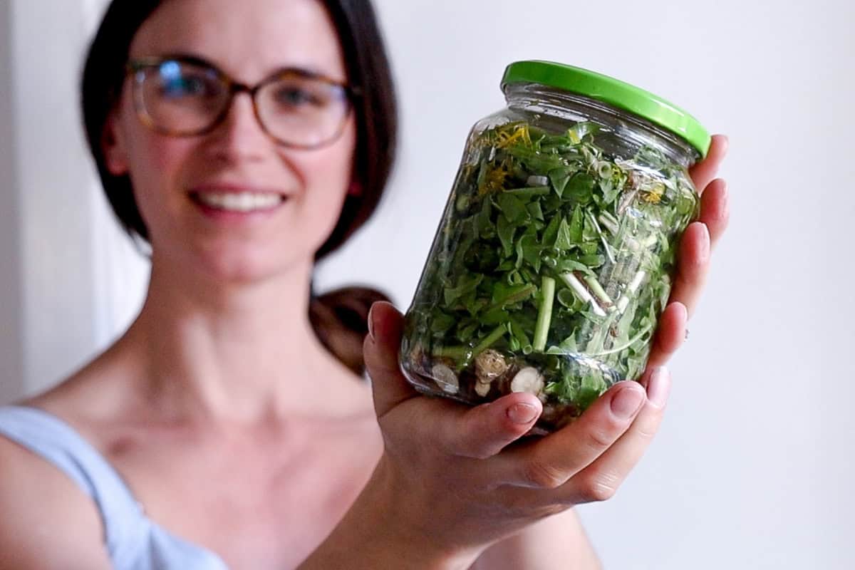 Holding a mason jar with dandelion tincture