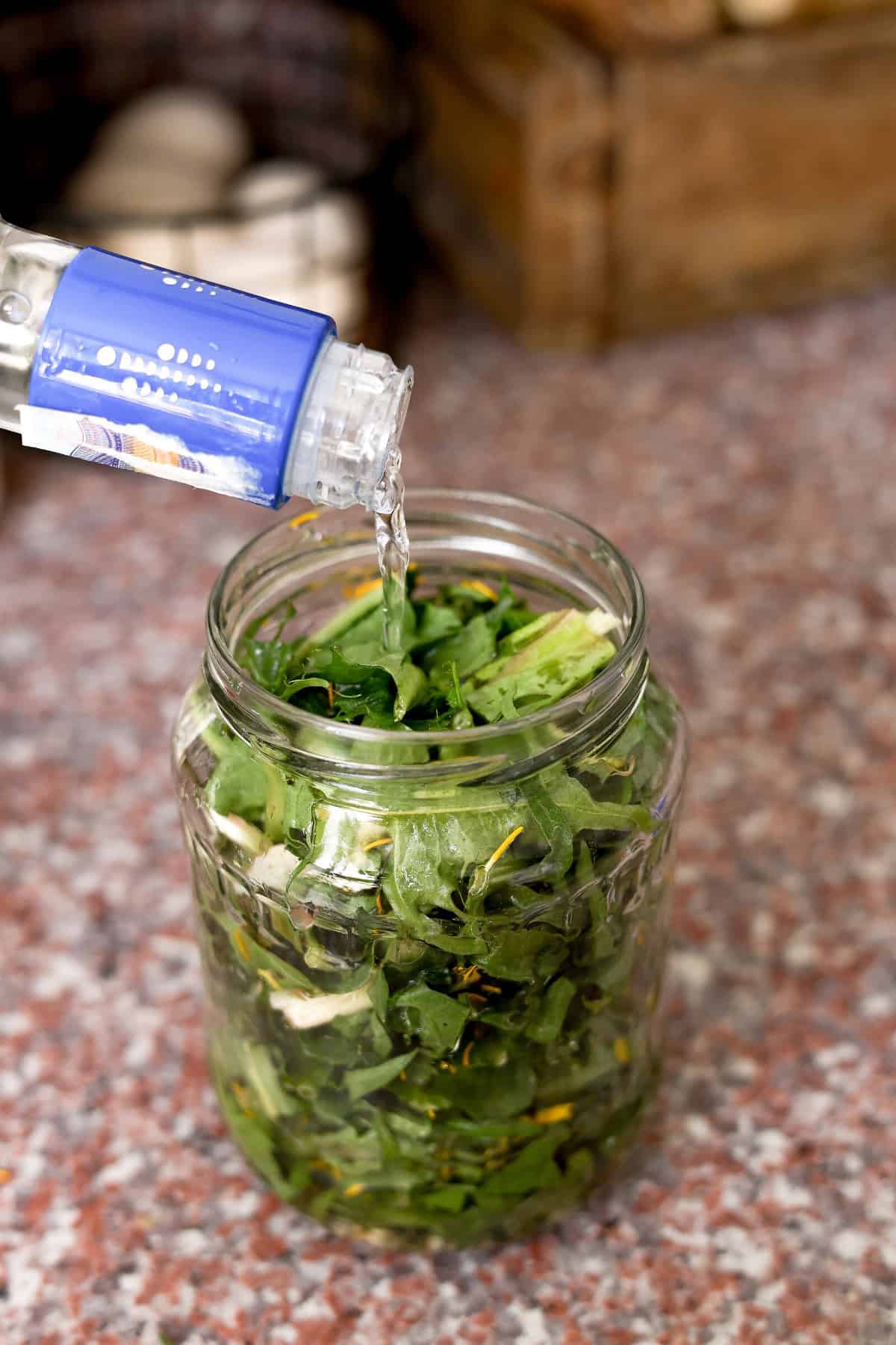 Clear vodka being poured over dandelion plant material in a quart mason jar
