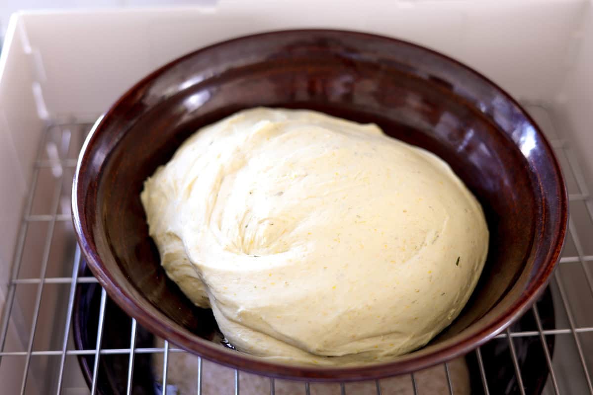 shaped dough in greased bowl