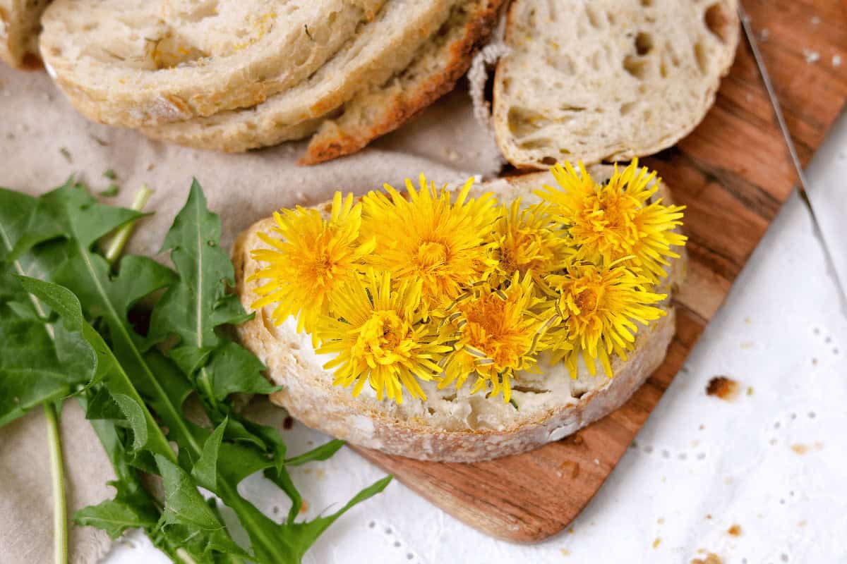 slice of dandelion bread with dandelion flowers on top