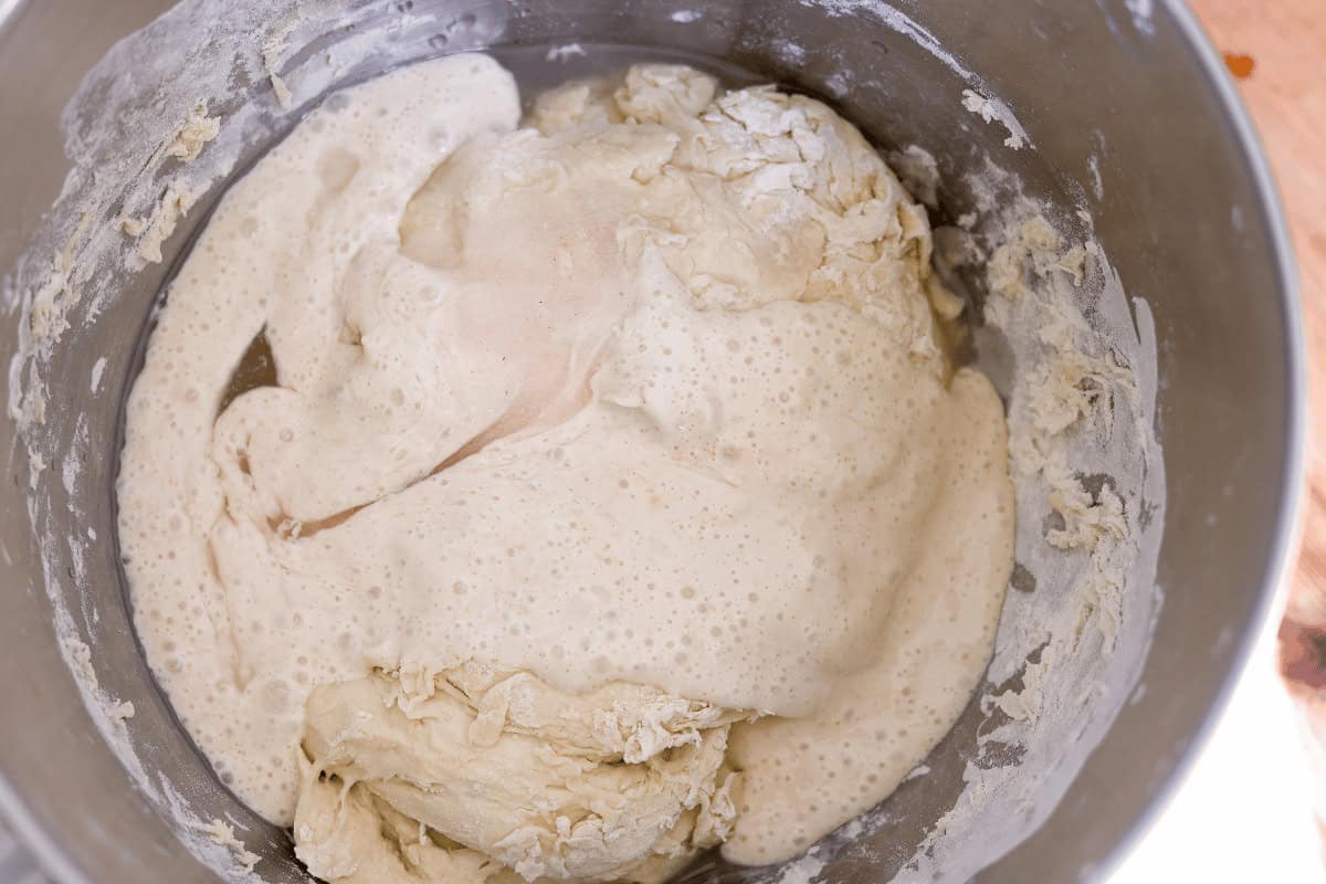 sourdough on mixtured