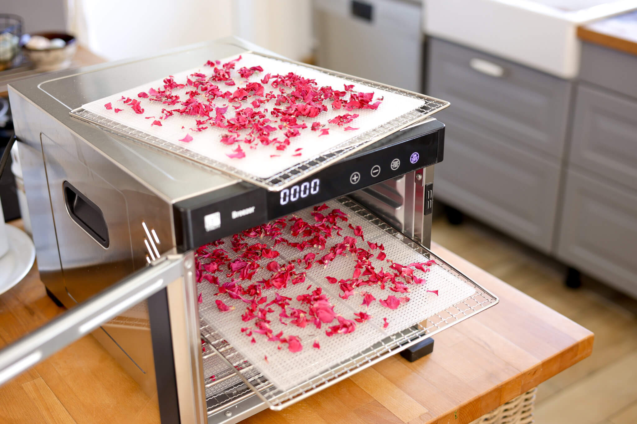 Best Ways to Dry Roses & How to Store Dried Rose Petals