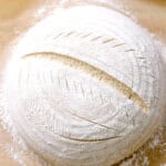 sourdough dough