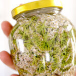 yarrow tincture in a jar