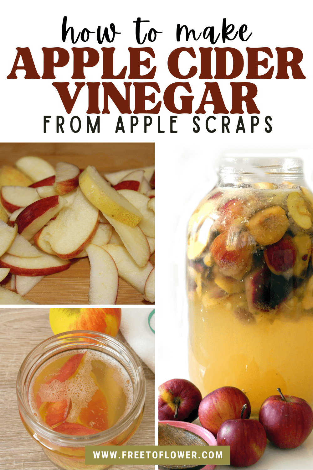 How to Make Apple Cider Vinegar from Apple Scraps - Free to Flower
