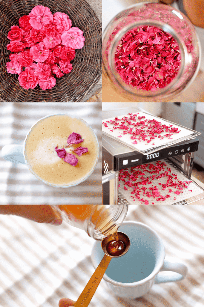 Best Ways to Dry Roses & How to Store Dried Rose Petals