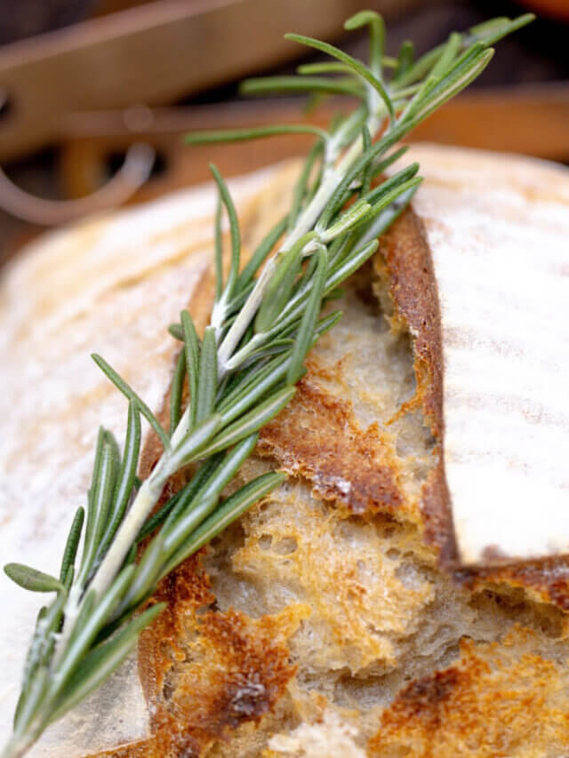 Rosemary Olive Oil Sourdough Bread