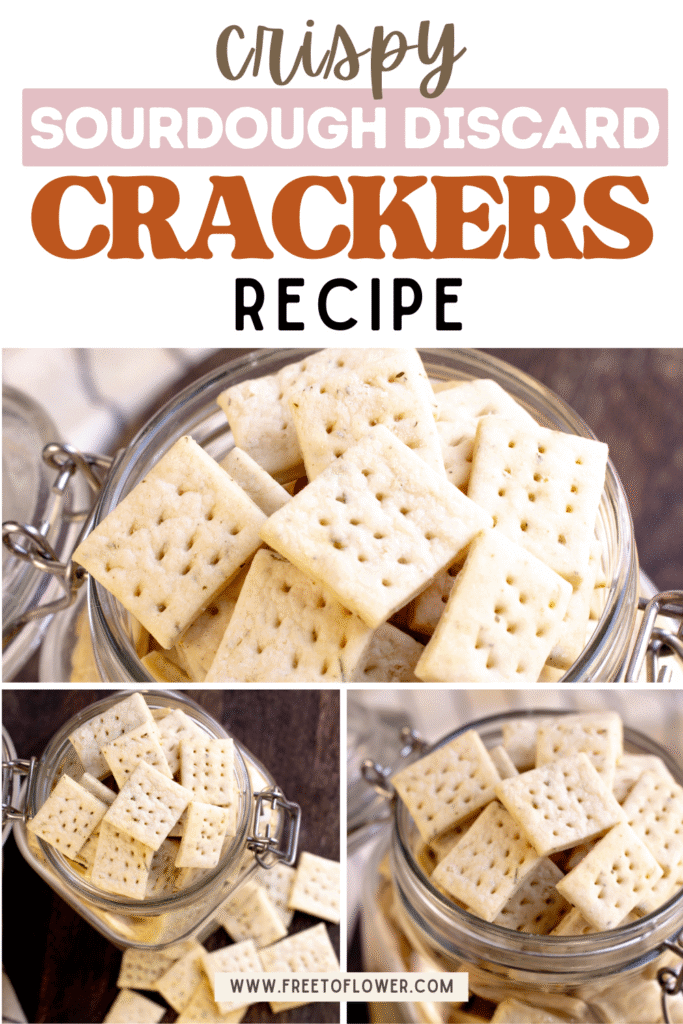 sourdough crackers pinterest image