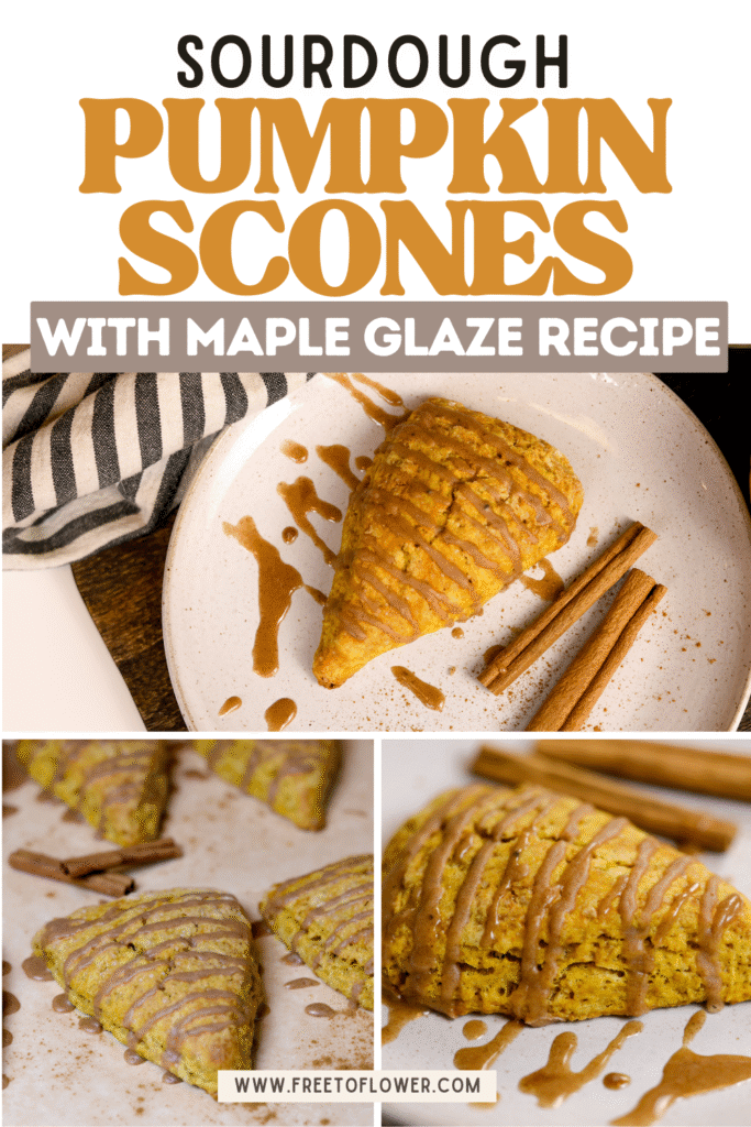 sourdough pumpkin scones pin image