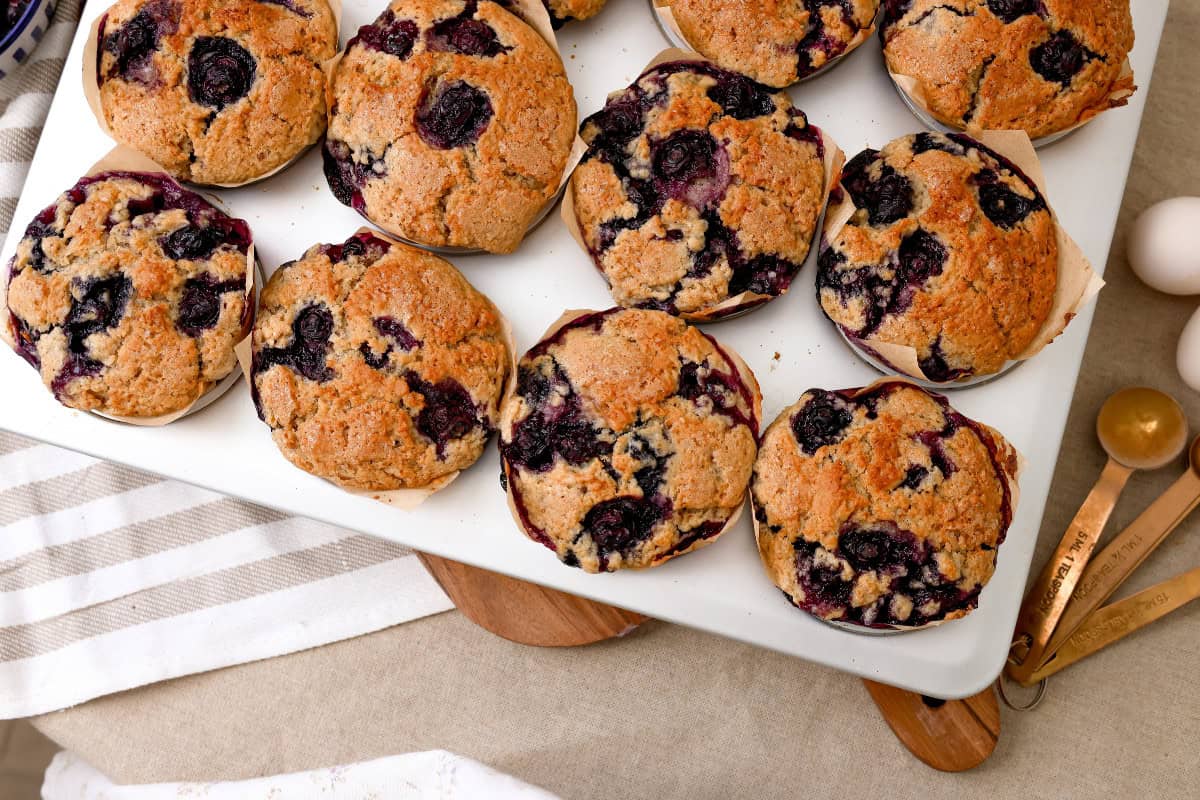 sourdough blueberry muffins