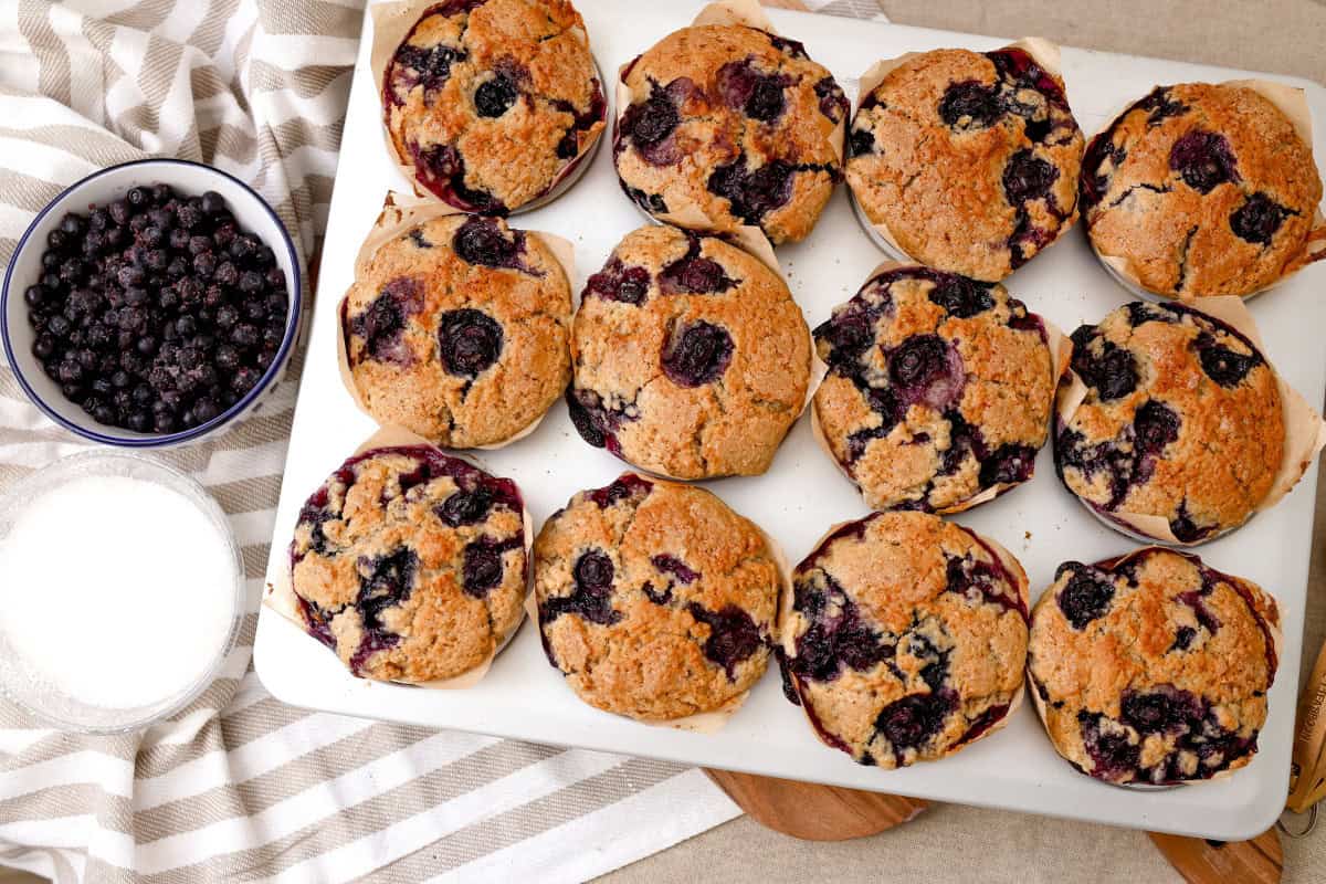 baked sourdough blueberry muffins