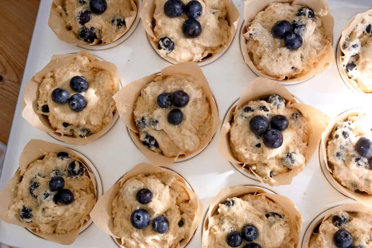 batter poured into the muffin tin topped with blueberries