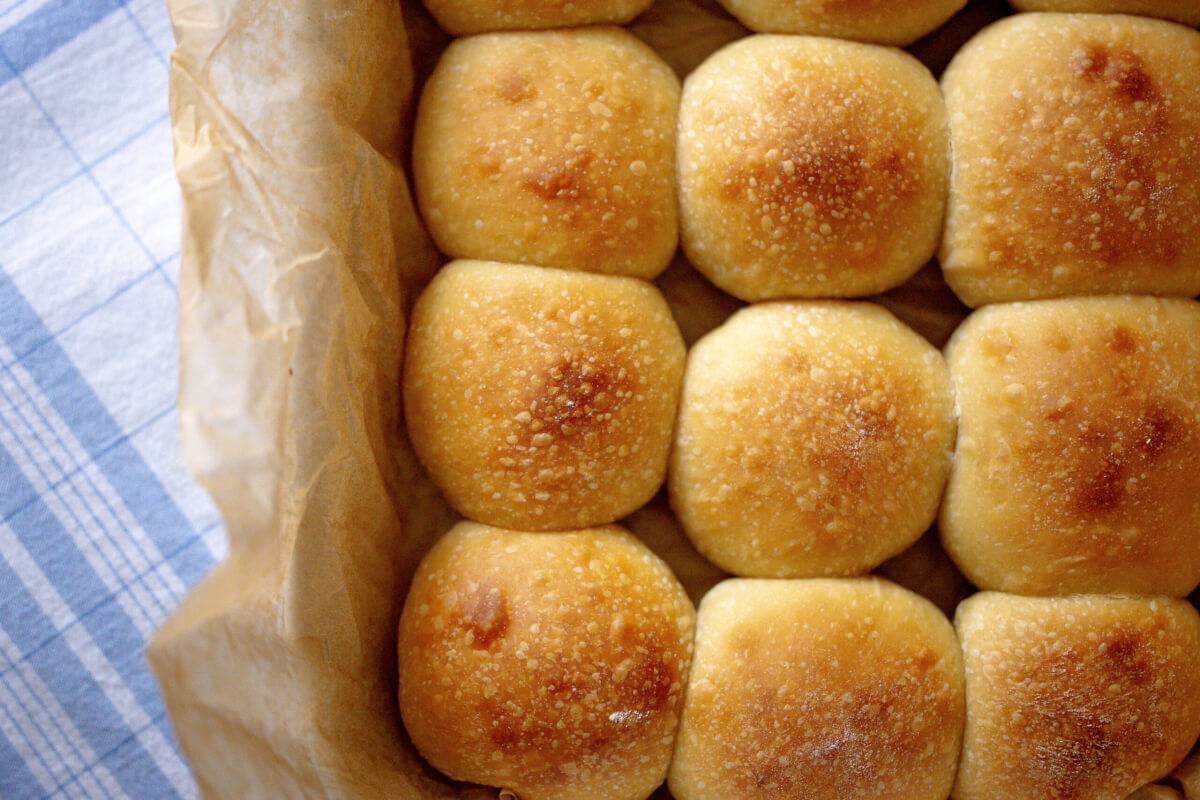 sourdough dinner rolls