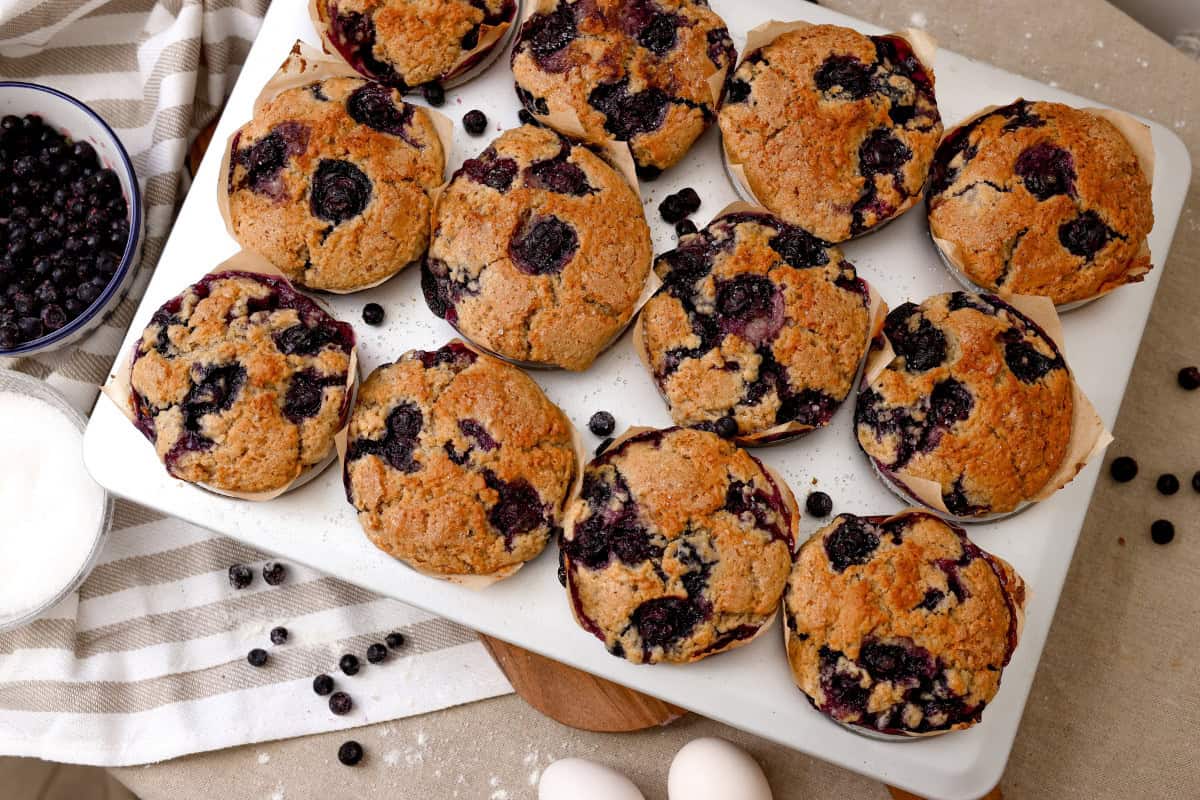 sourdough blueberry muffins